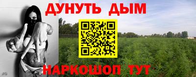 хмурый Бийск