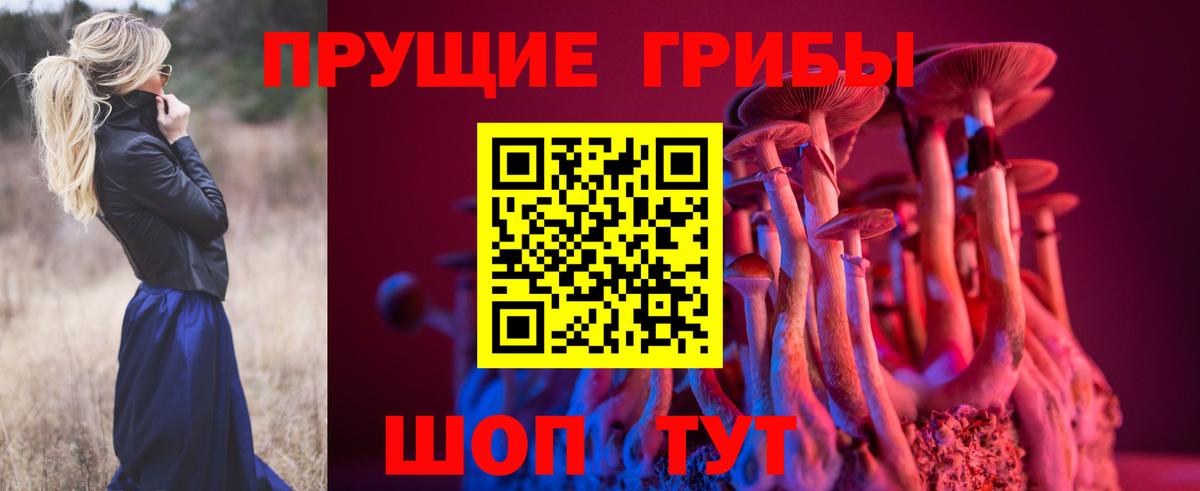 Псилоцибиновые грибы Cubensis  Псилоцибиновые грибы GOLDEN TEACHER  Карпинск  Вход с VPN 
